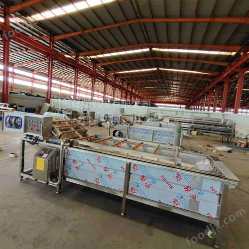 凈菜加工廠氣泡洗菜機(jī)