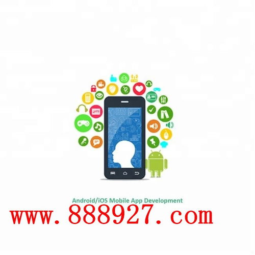 深圳西鄉(xiāng)企業(yè)APP開發(fā) 科技公司的軟件開發(fā)之道